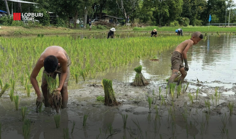 “ปลูกข้าว…ปลูกใจ” เด็กไทยรักข้าว