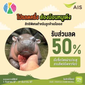 AIS โปรลดครึ่ง..ส่องน้อนหมูเด้ง