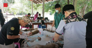 บริหารจัดการ "ลิง“ นอกเขตเศรษฐกิจในพื้นที่วัดเขาสมโภชน์