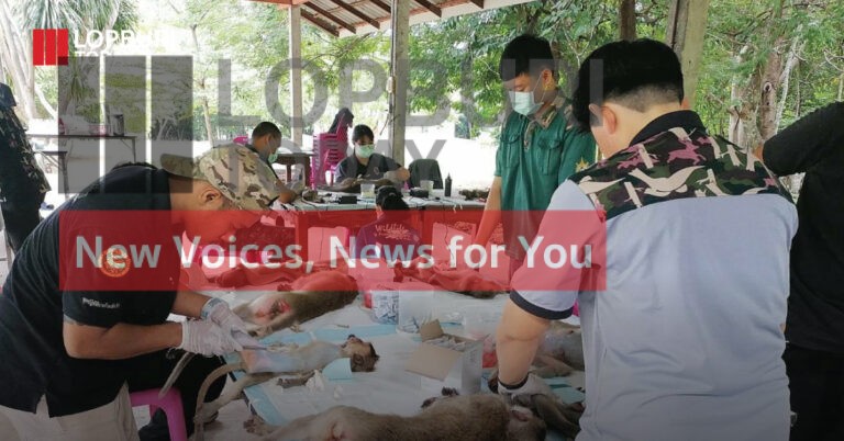 บริหารจัดการ “ลิง“ นอกเขตเศรษฐกิจในพื้นที่วัดเขาสมโภชน์