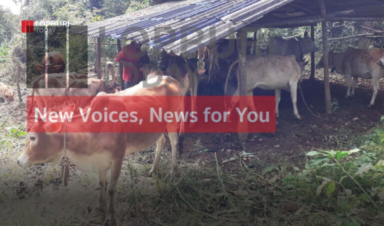 ปศุสัตว์ลพบุรี เตือนเกษตรกรเฝ้าระวังโรคปากและเท้าเปื่อยและโรคเฮโมรายิกเซฟติซีเมีย ระบาดในพื้นที่จังหวัดลพบุรี