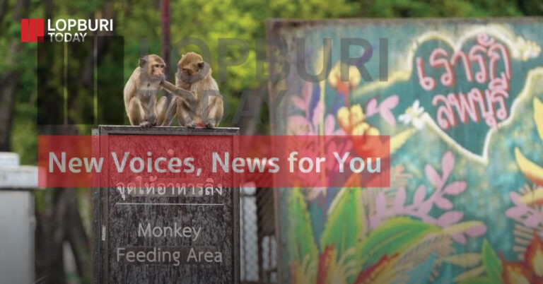 สำรวจความต้องการลิงในพื้นที่พักอาศัยในเขตเมืองเก่า