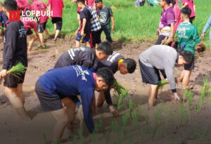 ดำนาชีวิตหาซื้อไม่ได้ ถ้าอยากได้ต้องลงมือทำ