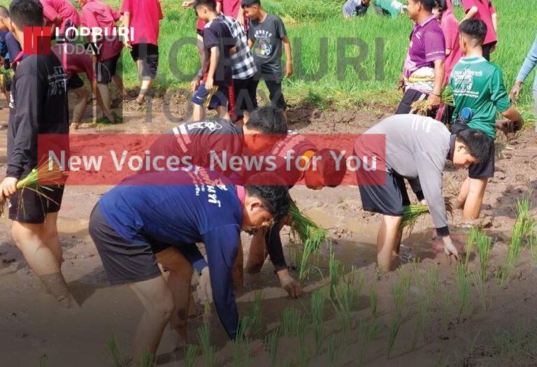 ดำนาชีวิตหาซื้อไม่ได้ ถ้าอยากได้ต้องลงมือทำ