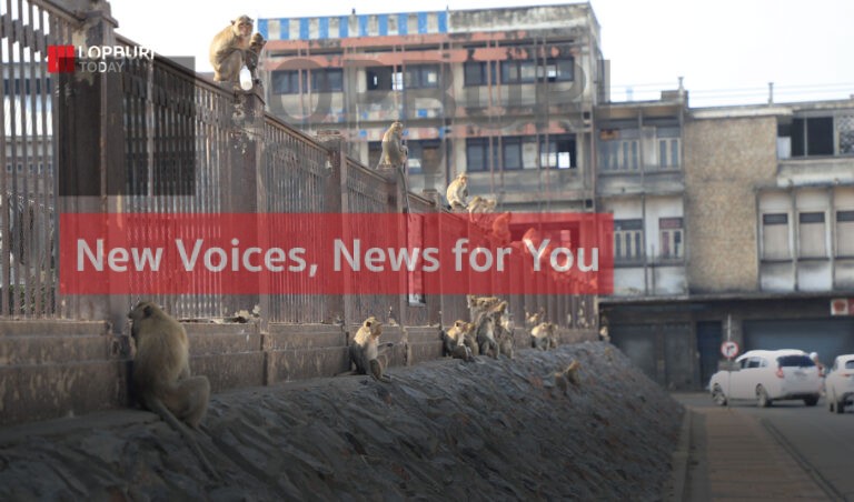 เวทีประชาชนเขตเมืองเก่า สะท้อนความต้องการลิงให้อาศัยในเขตบริเวณพื้นที่