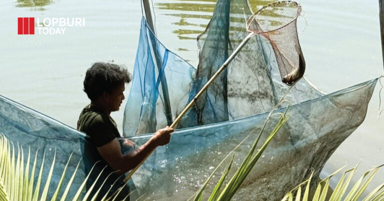 เพิ่มศักยภาพเกษตรกรในการเพาะเลี้ยงสัตว์น้ำสร้างมูลค่าทางเศรษฐกิจภาคการเกษตร