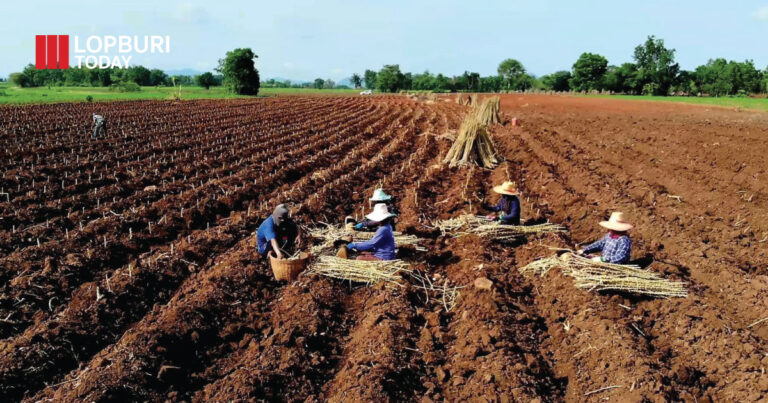 เกษตรกรทั้งชาวนา ชาวไร่ ในจังหวัดลพบุรี ถือฤกษ์ดี เริ่มลงมือปลูกพืช เพื่อเป็นปฐมฤกษ์ในวันพืชมงคล
