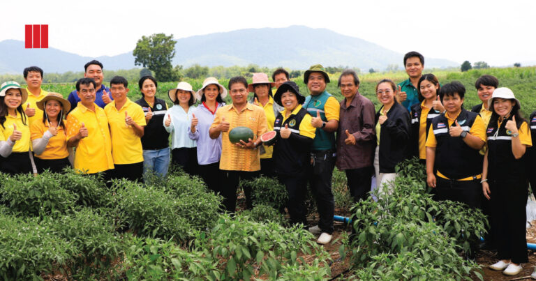 แตงโม 3 ไร่ กำไร 3 หมื่น! เกษตรกรลพบุรีเผยเคล็ดลับปลูกพืชฤดูแล้งให้รุ่ง