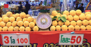 กระท้อนหวานคึกคัก! ลพบุรีจัดเต็มของดีเมืองละลานตา ย้ำพืช GI ‘กระท้อนตะลุง’ หวานสะดุ้ง ราคาชาวบ้าน
