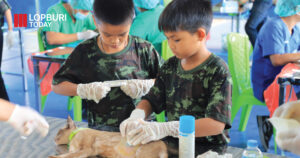 หมา-แมวอุ่นใจ! ลพบุรีจัดเต็ม ฉีดวัคซีน ทำหมัน ป้องกันพิษสุนัขบ้า