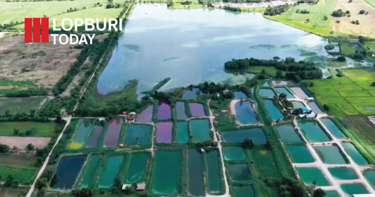 ลพบุรีบูรณาการรับมือ “ภัยแล้งพัฒนานิคม” ลงพื้นที่ตำบลดีลัง วางมาตรการเร่งด่วนแก้ปัญหาขาดแคลนน้ำ