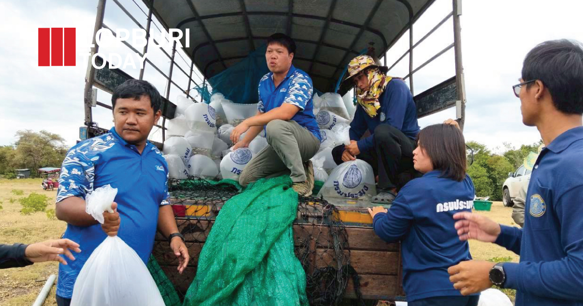 ลพบุรีปล่อยพันธุ์สัตว์น้ำกว่า 37,600 ตัว เสริมความมั่นคงอาหาร-สร้างรายได้ชุมชน