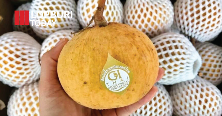 ลพบุรีมอบสิทธิ์ใช้ GI “กระท้อนตะลุง” เกษตรกร 80 ราย รักษามาตรฐานผลไม้ขึ้นชื่อระดับประเทศ