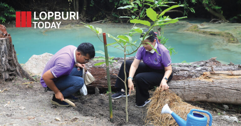 ลพบุรีเปิดโครงการอนุรักษ์พันธุกรรมพืช ขยายพื้นที่ปลูก “ต้นจำปีสิรินธร” ไม้หายากแห่งสวนรุกขชาติวังก้านเหลือง