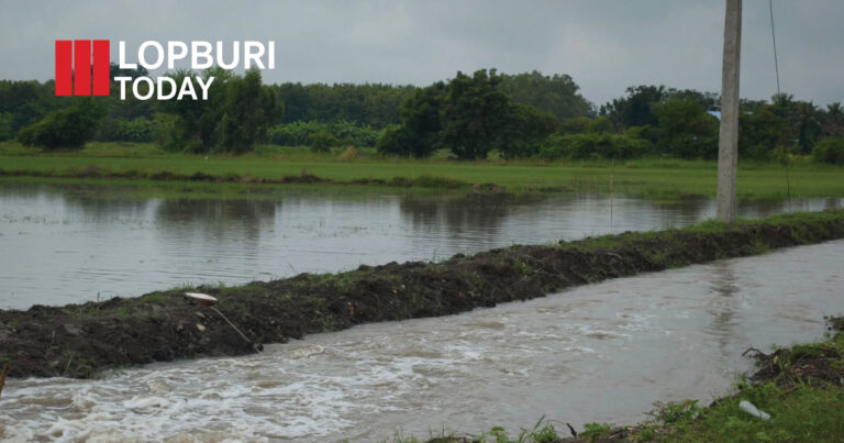 ชลประทานที่ 10 เดินหน้าบริหารจัดการน้ำลพบุรี รับมือฤดูฝน 2568 พร้อมติดตั้งเครื่องสูบน้ำ-ลงพื้นที่ติดตามสถานการณ์น้ำหลาก
