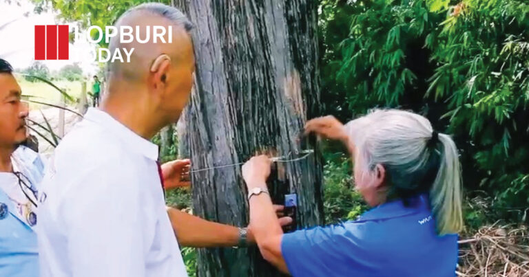 เชิญชวนเกษตรกรลพบุรีร่วมโครงการ “Carbon Credit” เพิ่มมูลค่าต้นไม้ สร้างรายได้สู่ความยั่งยืน