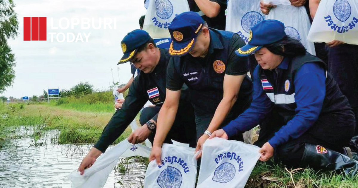 น้ำหลากหนุนชีวิตใหม่! สำนักงานประมงลพบุรีปล่อยพันธุ์ปลา 15.1 ล้านตัว คืนความอุดมสมบูรณ์สู่ทุ่งชัยนาท-ป่าสัก