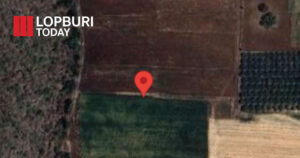 เกษตรอำเภอหนองม่วงลงพื้นที่ตรวจสอบจุดความร้อนจากดาวเทียม Suomi NPP พบร่องรอยเผานาข้าวเสียหายกว่า 30 ไร่ พร้อมเดินหน้ารณรงค์งดเผา ลดปัญหาฝุ่น PM2.5