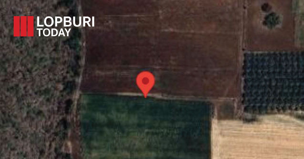 เกษตรอำเภอหนองม่วงลงพื้นที่ตรวจสอบจุดความร้อนจากดาวเทียม Suomi NPP พบร่องรอยเผานาข้าวเสียหายกว่า 30 ไร่ พร้อมเดินหน้ารณรงค์งดเผา ลดปัญหาฝุ่น PM2.5