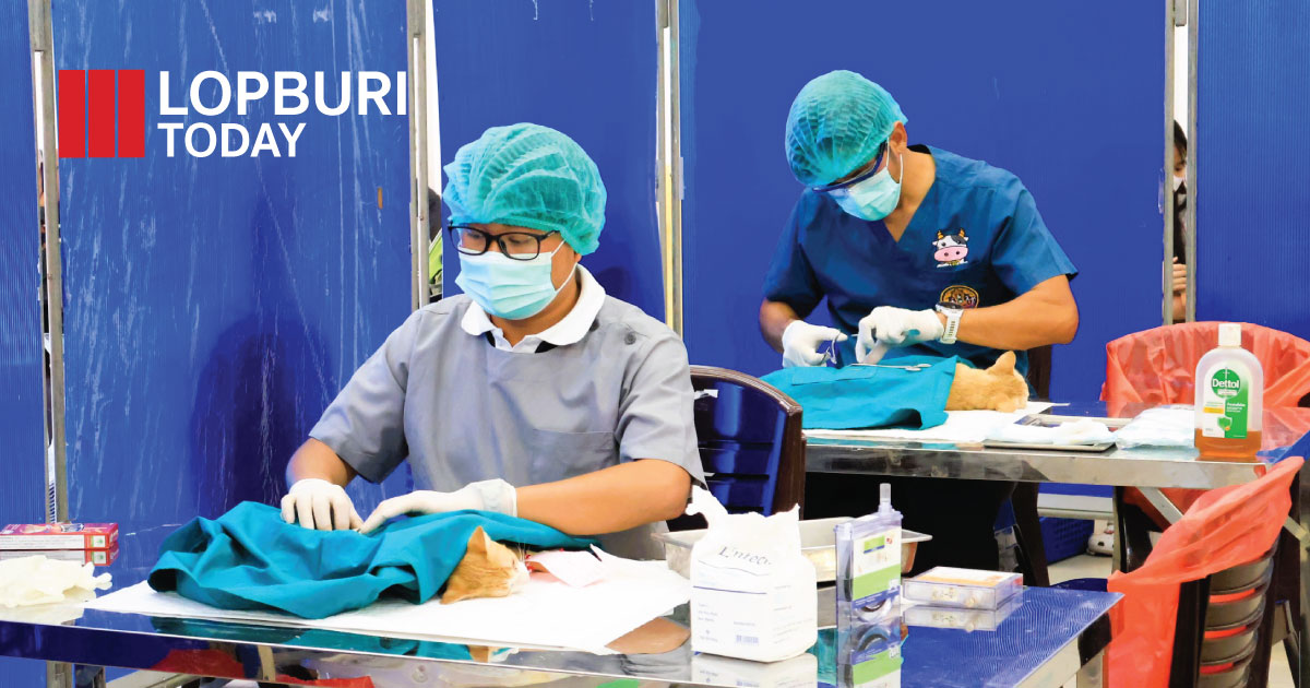 ลพบุรีจัดอบรมอาสาปศุสัตว์เฝ้าระวังโรคพิษสุนัขบ้า สร้างเครือข่ายป้องกันโรคในชุมชน