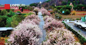 ลพบุรีดันท่องเที่ยวชุมชน วัดถ้ำบ่อทอง พัฒนานิคม ชู “เมืองน่าอยู่ อาหารปลอดภัย” สร้างรายได้ยั่งยืน