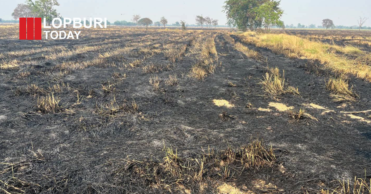 บ้านหมี่พบจุดความร้อน Hotspot เผานาข้าวกว่า 100 ไร่ ตำบลหนองเมือง เร่งดับไฟ-เตือนงดเผาลด PM2.5 ลพบุรี