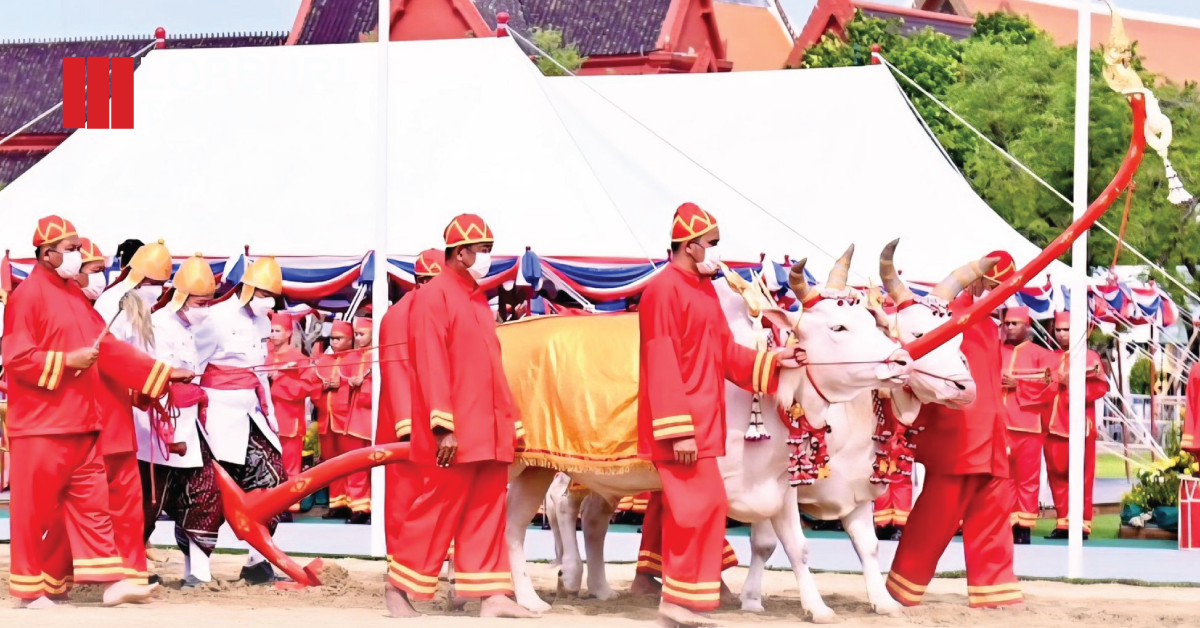 เปิดลงทะเบียน “เมล็ดพันธุ์ข้าวพระราชทาน 2569” กระทรวงเกษตรฯ ชวนเกษตรกรทั่วประเทศร่วมรับสิริมงคล