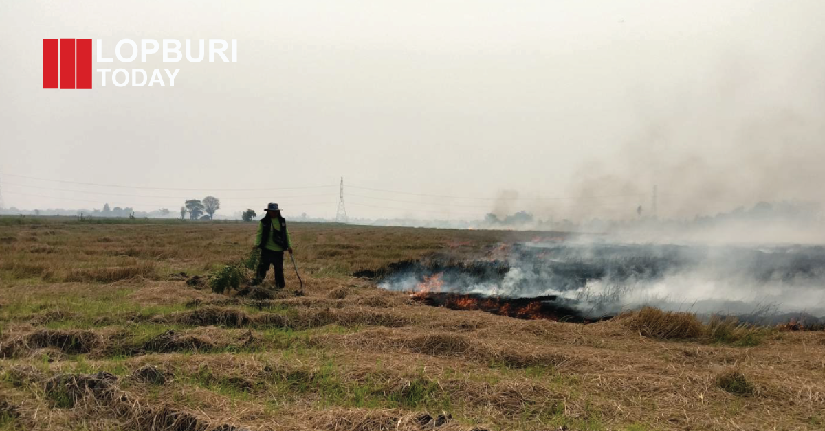 ลพบุรียังเผาต่อเนื่อง! บ้านหมี่-ท่าวุ้ง เจอ Hotspot ซ้ำหลายจุด เตือนหยุดเผาลด PM2.5