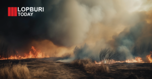 เผานาไม่ใช่เรื่องเล็ก! เปิดกฎหมายเอาผิด เผาที่โล่งเสี่ยงปรับ-จำคุก ลพบุรีเตือนเข้มช่วง PM2.5